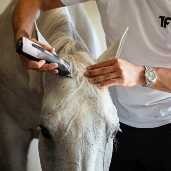 Tondeuse OPAL HORSE 1 batterie – Image 8