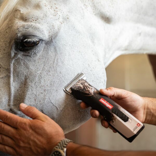 Tondeuse OPAL HORSE 1 batterie – Image 10