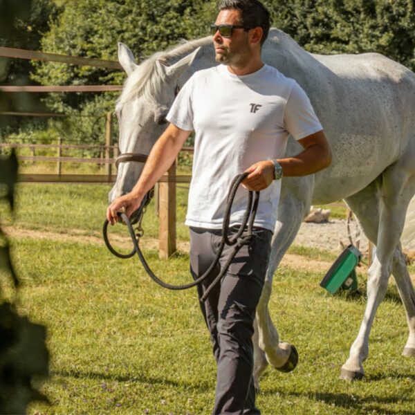 Tondeuse OPAL HORSE 1 batterie – Image 12